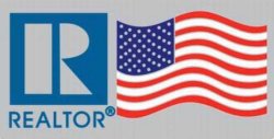 Small REALTOR® Logo/American Flag Pin  - Silver