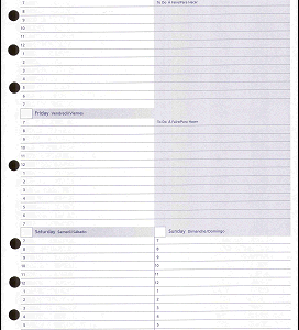 Large Weekly Calendar – 8.5" x 11" (Undated)